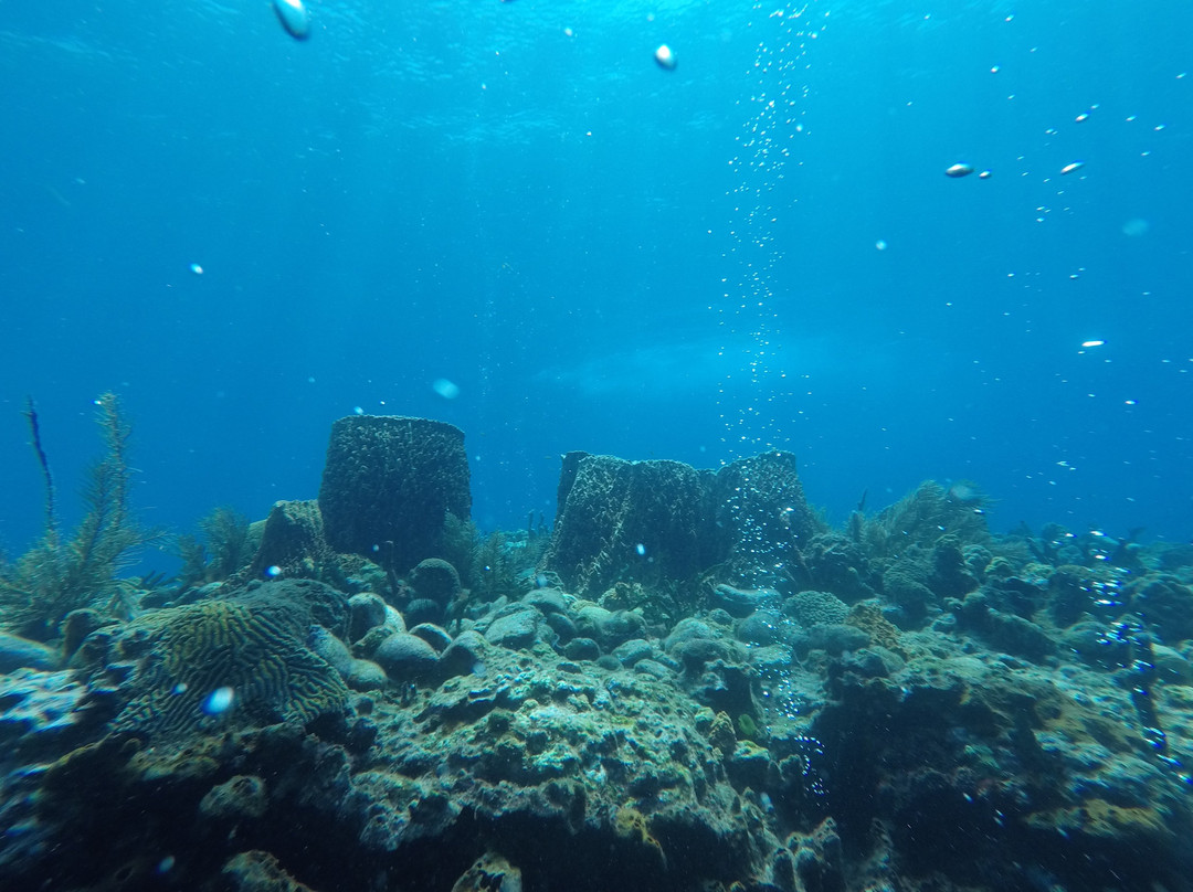 SALT-Toucari必去景点