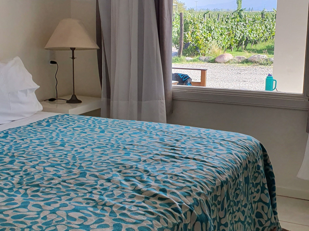 Finca La Puebla主图