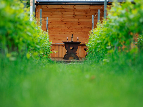 Winnica Granice-Zgłobien必去景点