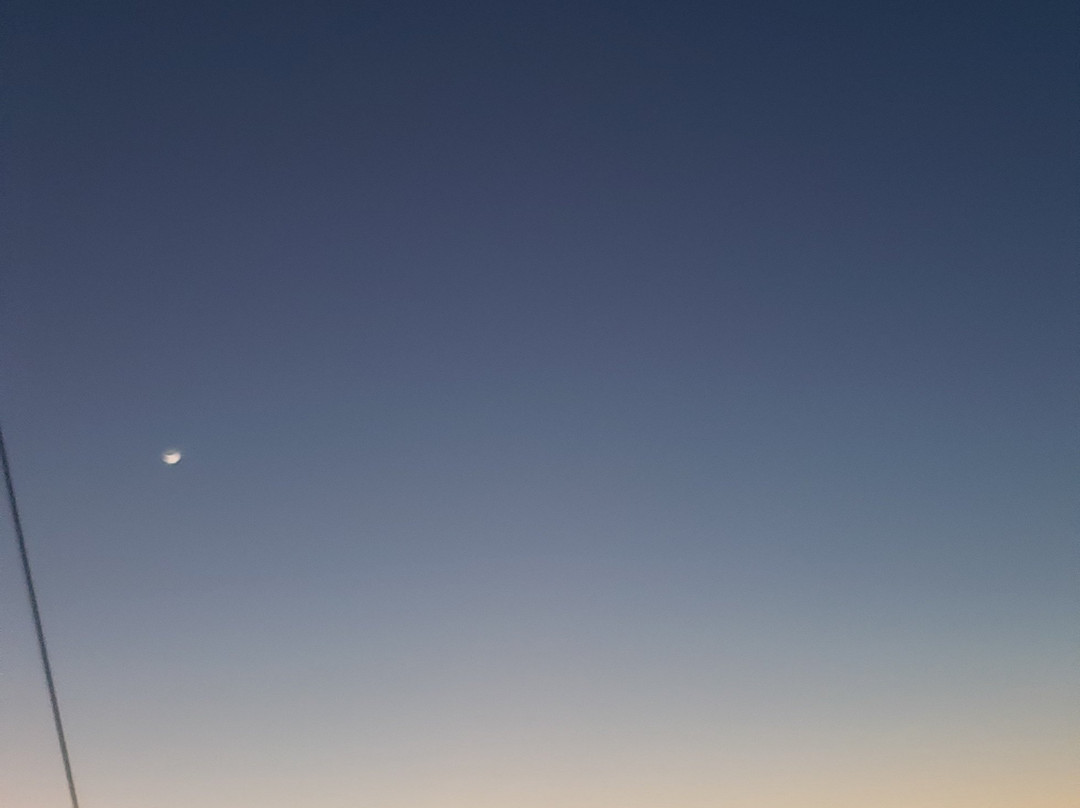 Mahalo Boats-Progreso必去景点