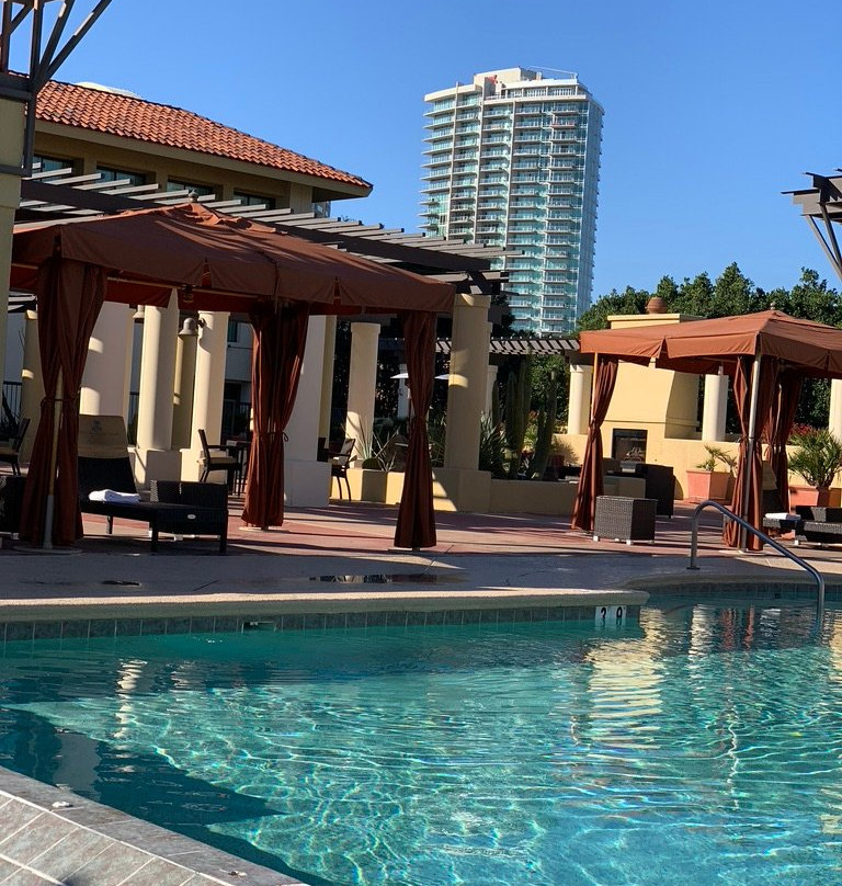 坦帕米慎棕榈酒店主图