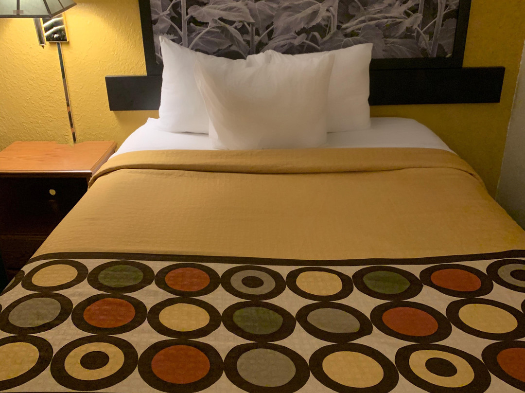 Bison Plains Lodge主图