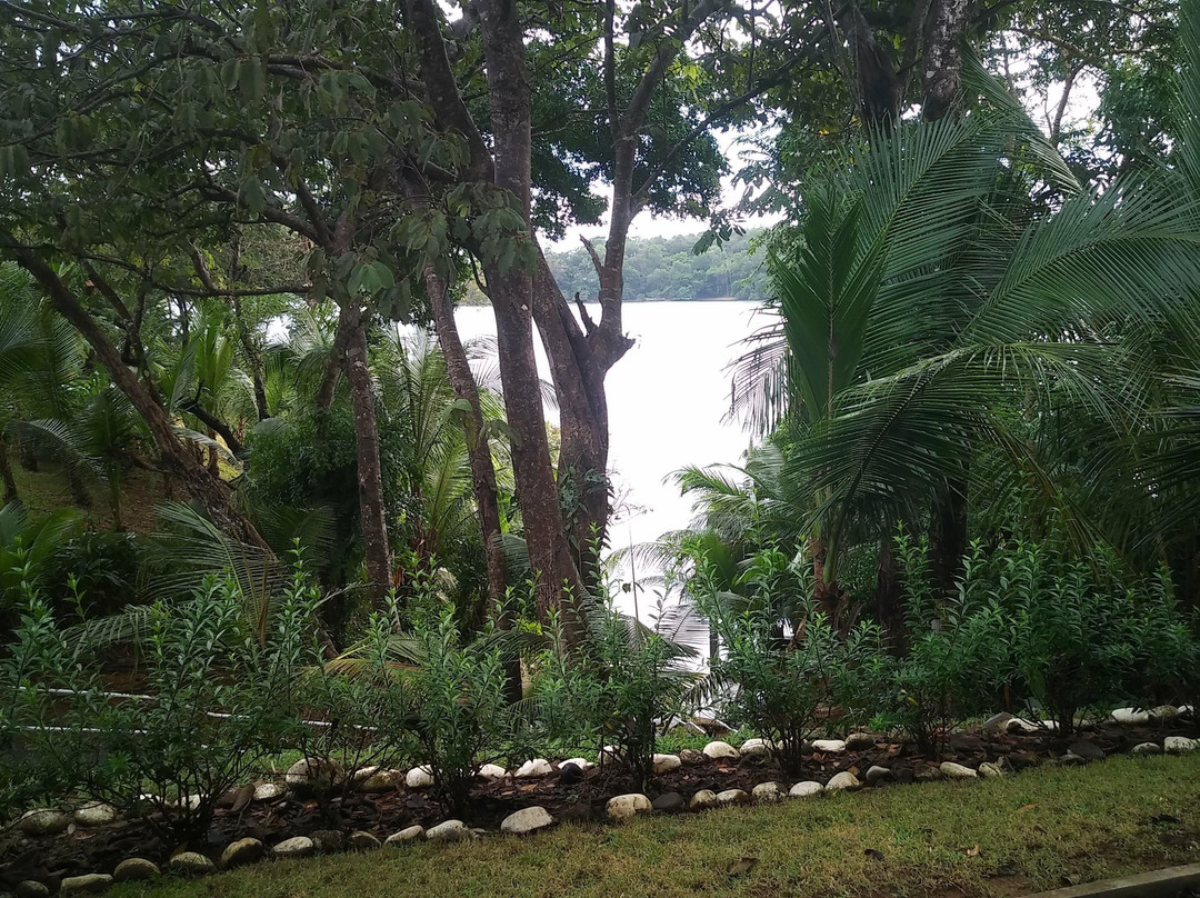 Hotel Bocas Del Mar主图