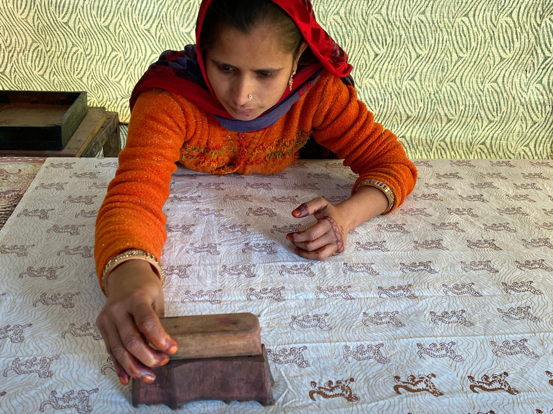 Dhonk-瑟瓦伊马托布尔必去景点