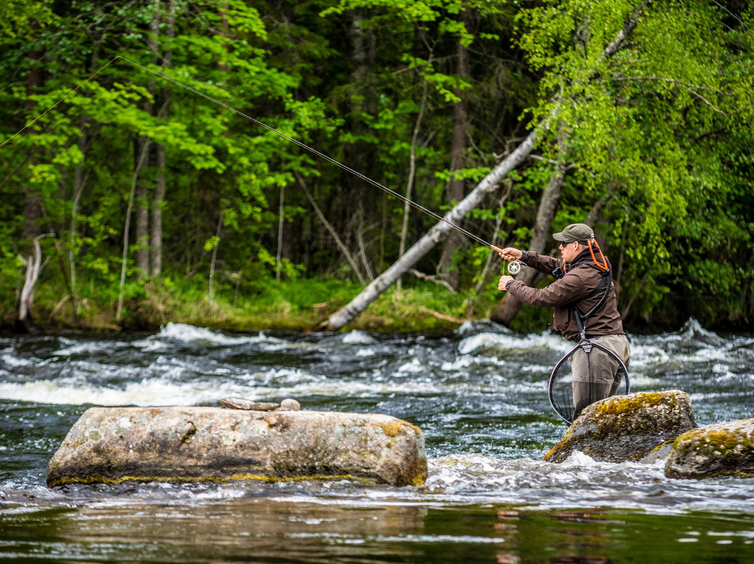 Konnevesi旅游攻略图片