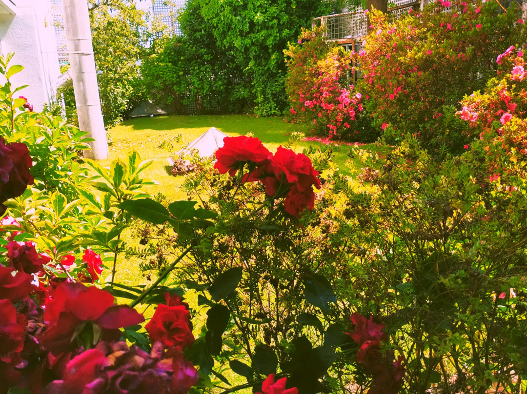 阿尔伯拉达酒店主图