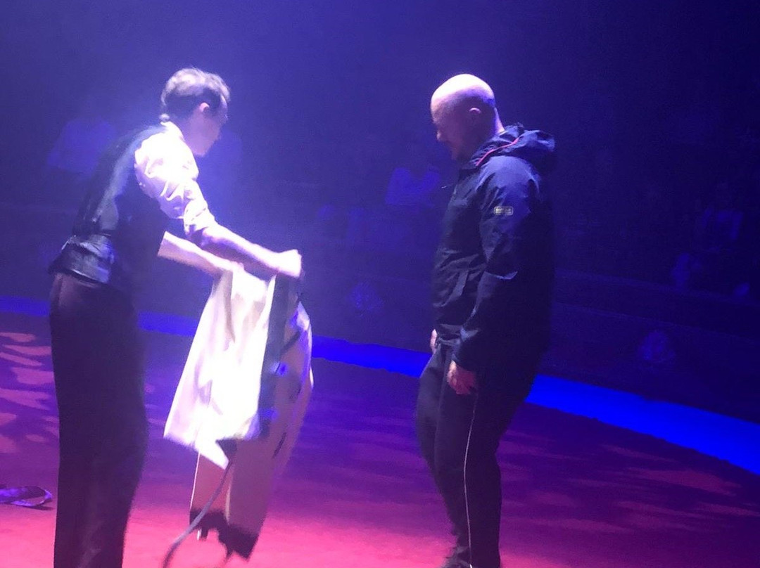 High Jinx Magic And Illusion Show-黑潭必去景点