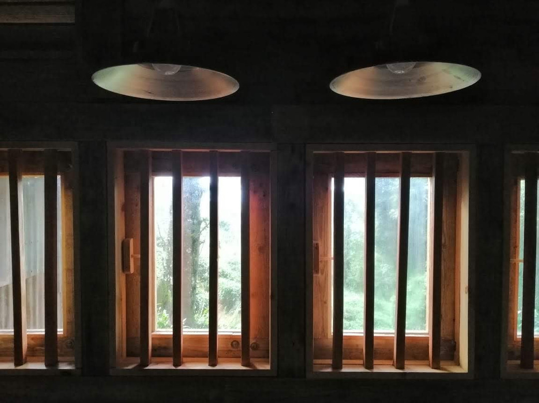 The Line A Mindful Retreat主图