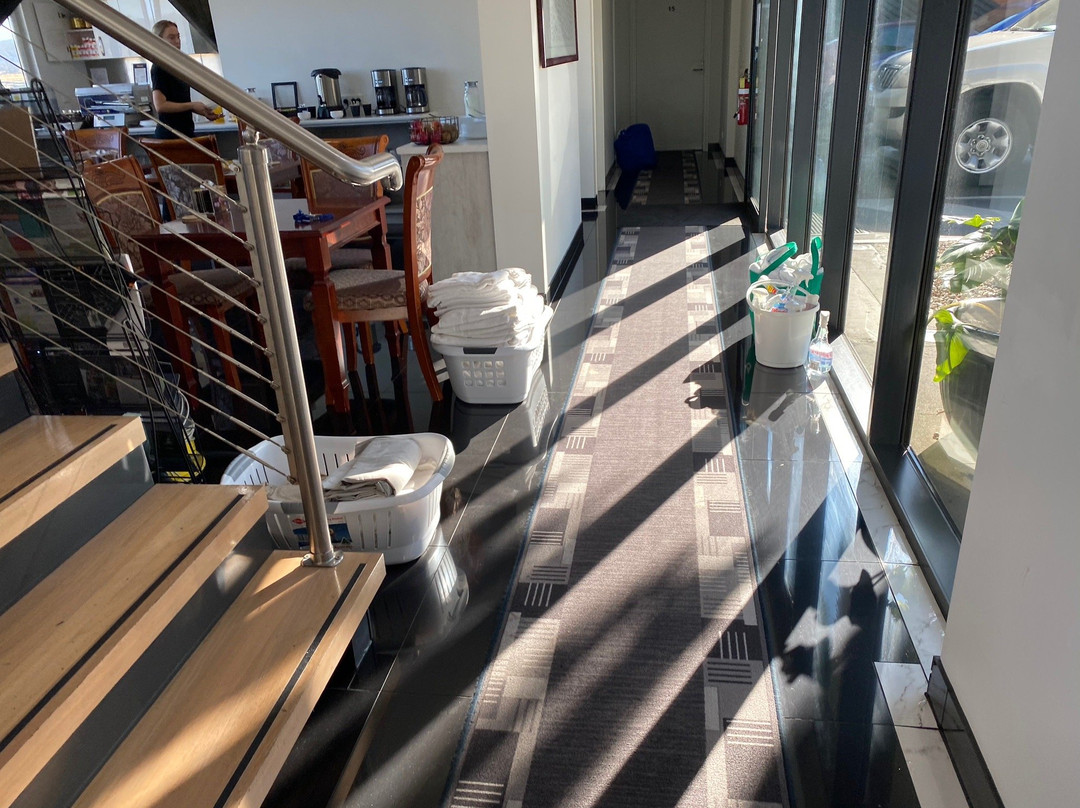 Areca Launceston主图