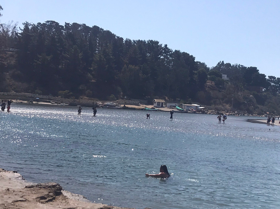 Salinas de Pullally-Papudo必去景点