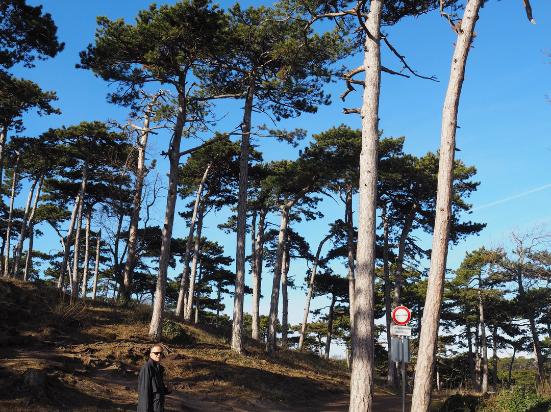 Schwarzer Turm Wanderung-默德林必去景点