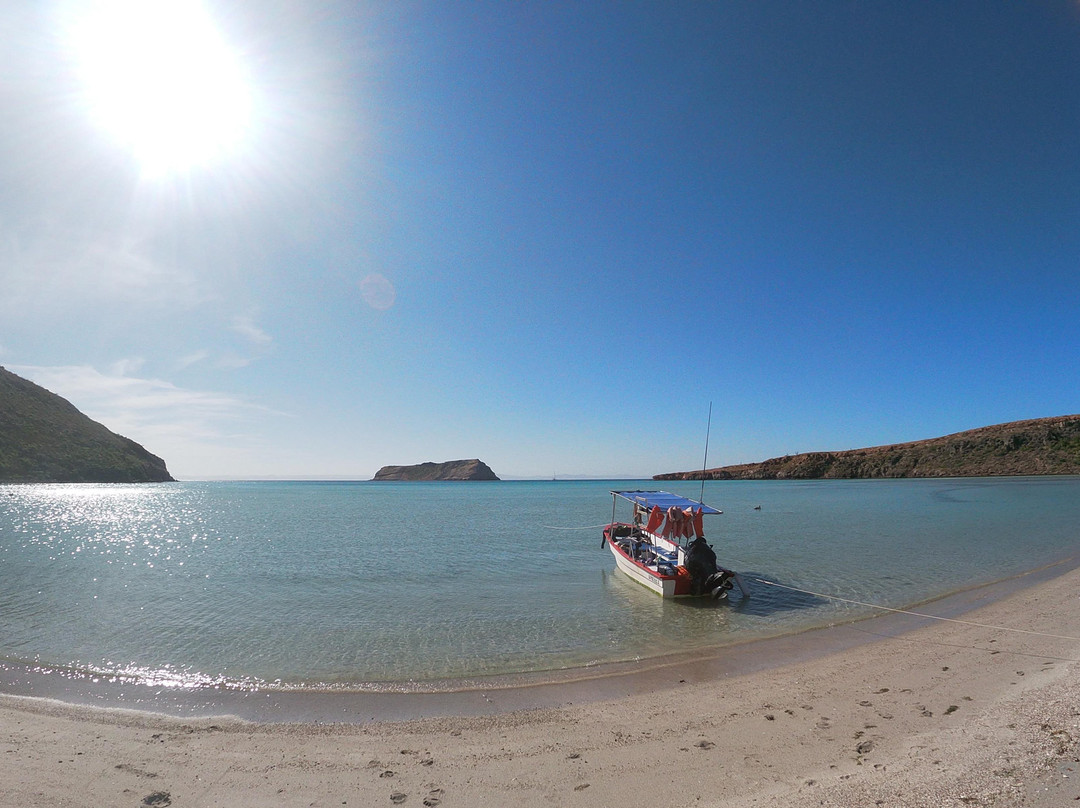 Sea Lions Dive Center-拉巴斯必去景点