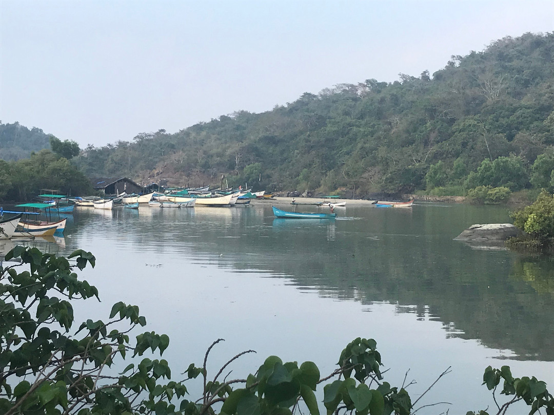 Dream Catcher by Feather Touch主图