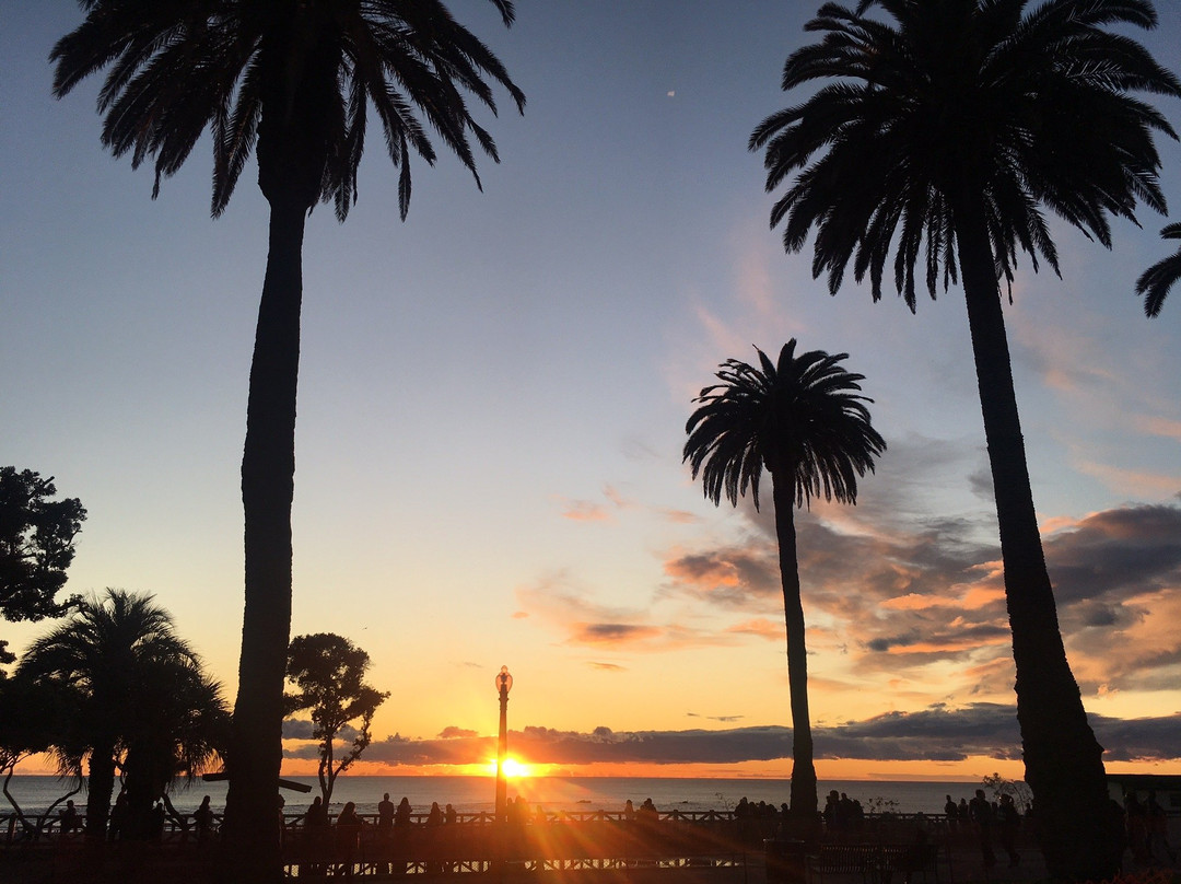 VAS Transportation LLC-园林必去景点