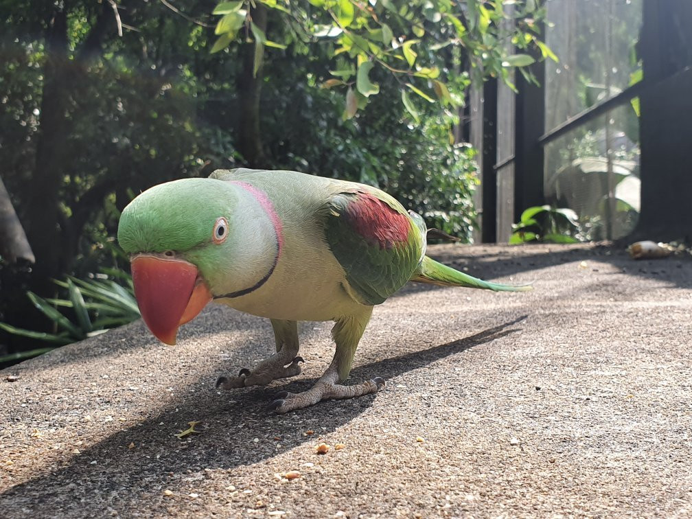 Dehiwala Zoological Garden景点图片