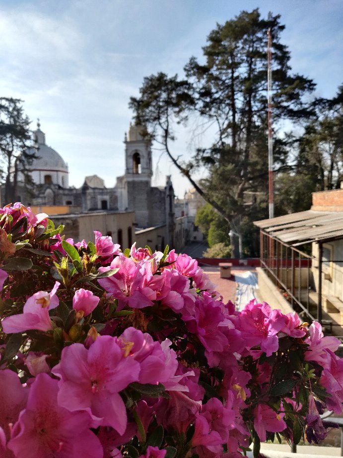 Puerta AL Virreinato Hotel Boutique-官方