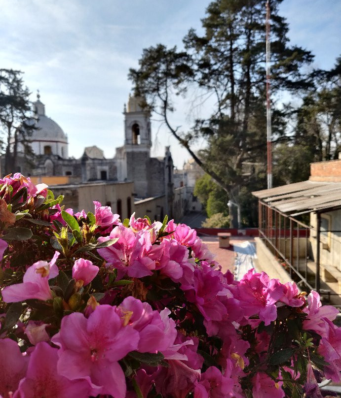 Puerta AL Virreinato Hotel Boutique主图