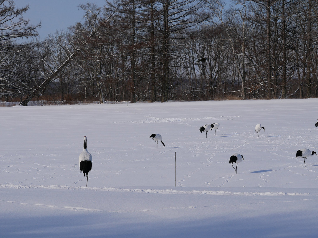 Kayanuma Station-标茶町必去景点
