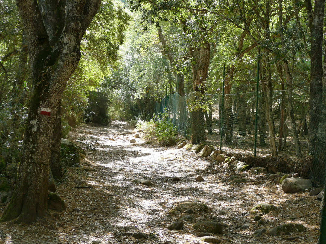 Foresta Demaniale dei Sette Fratelli-Sinnai必去景点