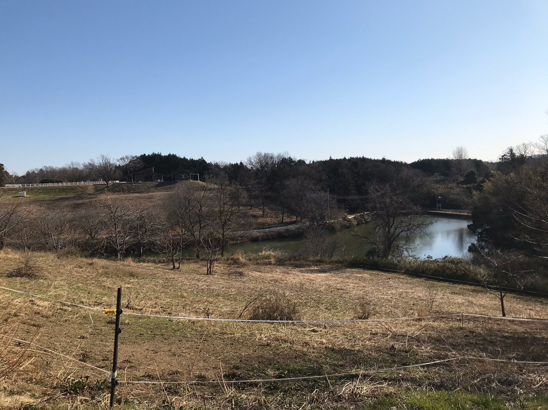 Yatsu no Sato Strawberry Farm景点图片