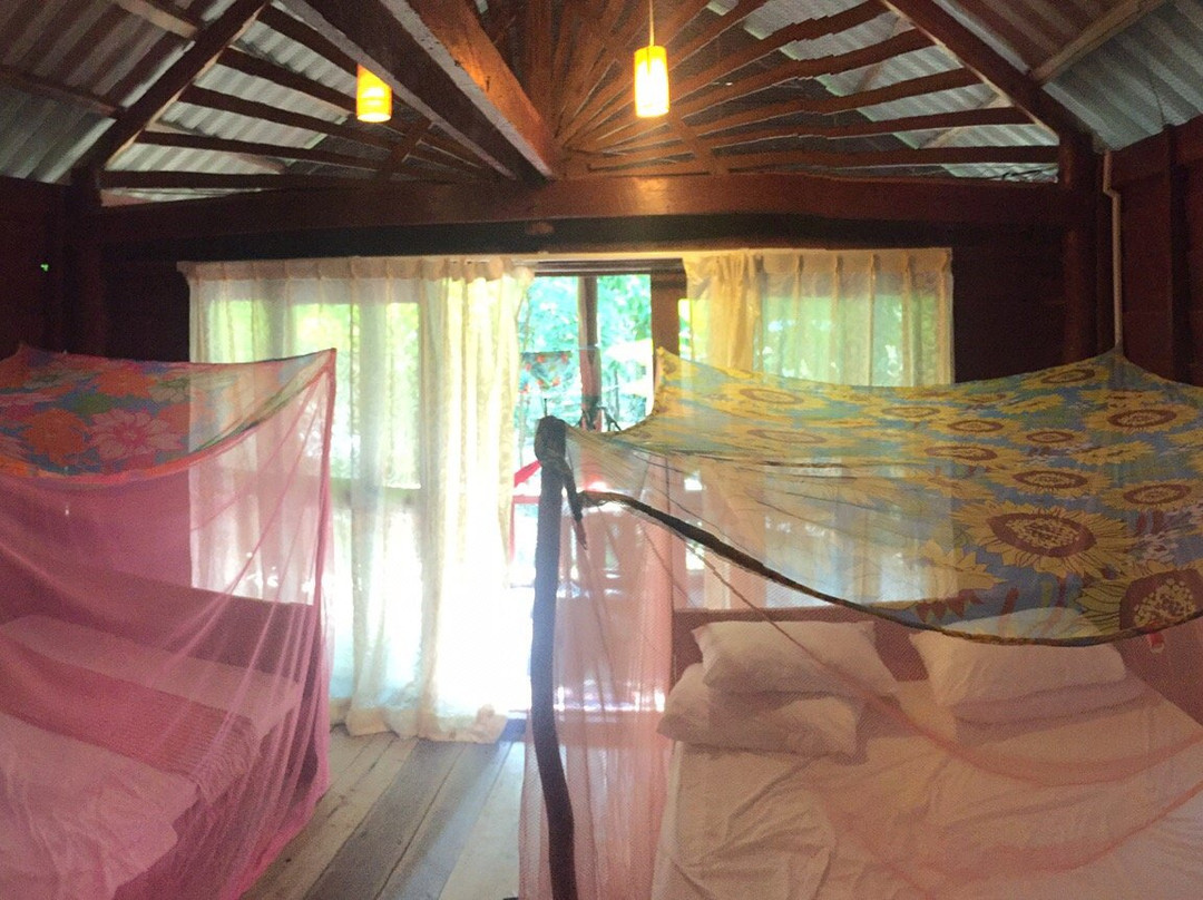 Sweet Jungle Bungalows主图