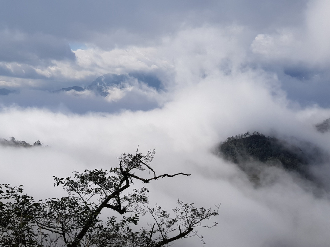 Sapa Eco Garden主图