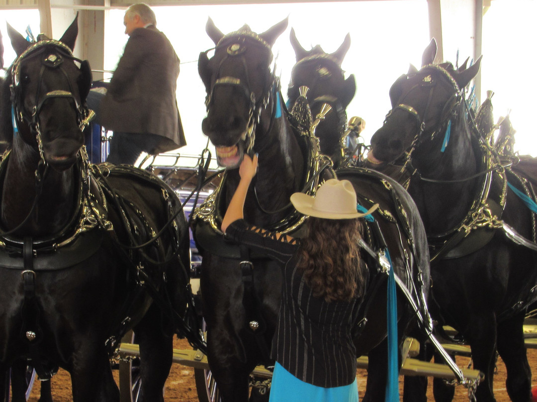 Florida Horse Park-奥卡拉必去景点