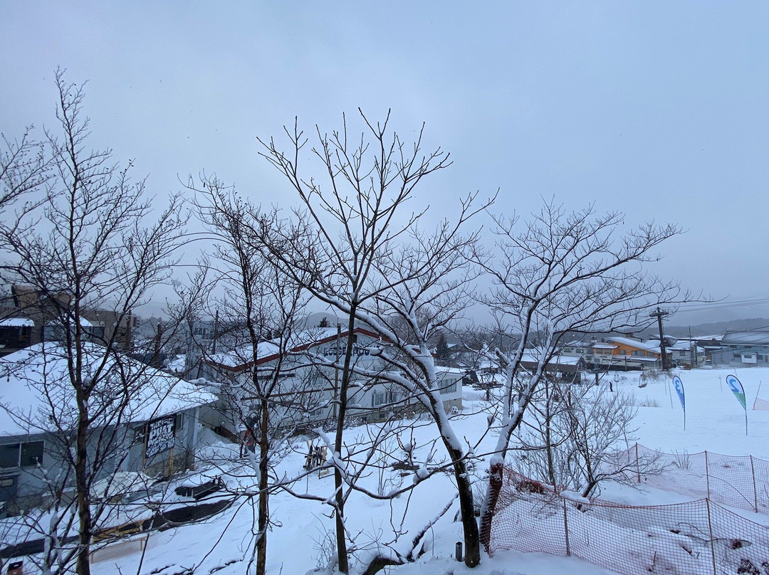 The Alps View主图