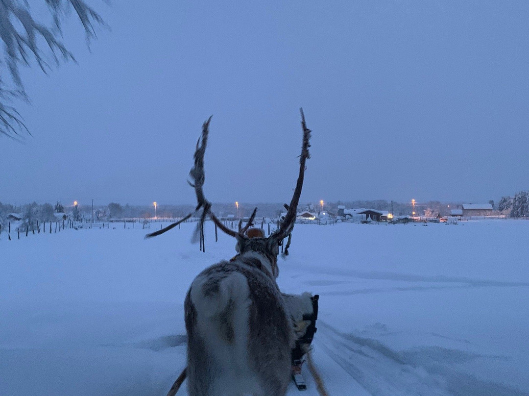 Ounaskievari Reindeer Farm-Kongas必去景点
