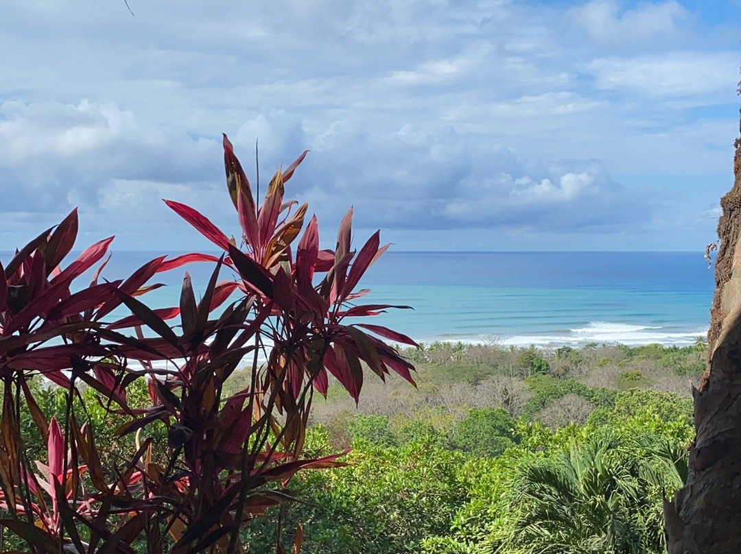 Hotel Buenos Aires主图
