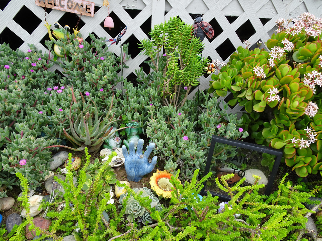 Coastal Rail Trail-欧申赛德必去景点