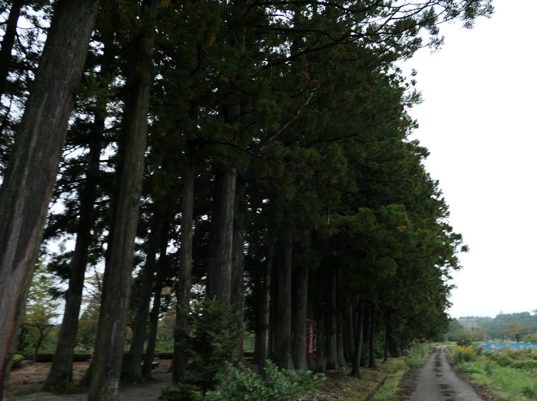 Ryusenji Temple-上市町必去景点