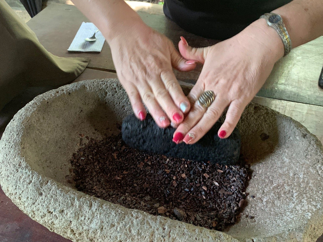 Choco Tour Costa Rica景点图片