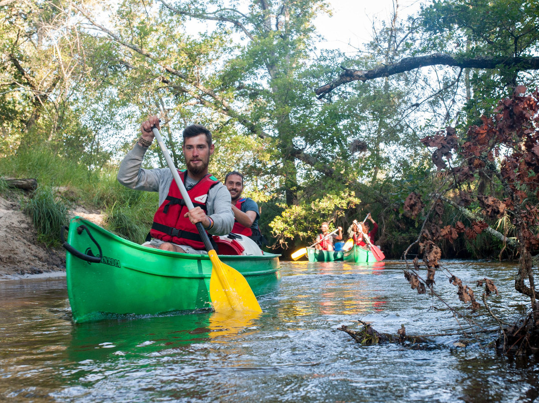 Lou Canoe景点图片