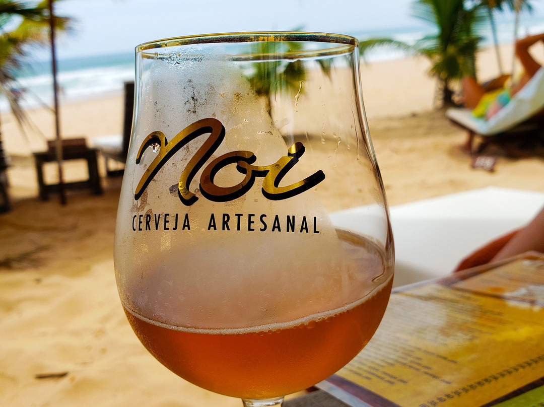 Dreamland Bungalows主图