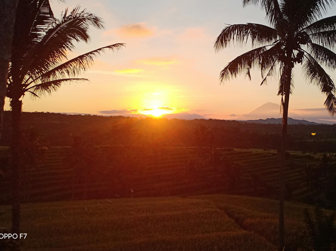 Winata Bali Tours-Jatiluwih必去景点