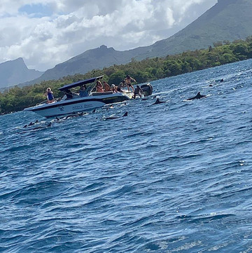 Fragawills Tour Operateur-弗力克昂弗雷克必去景点