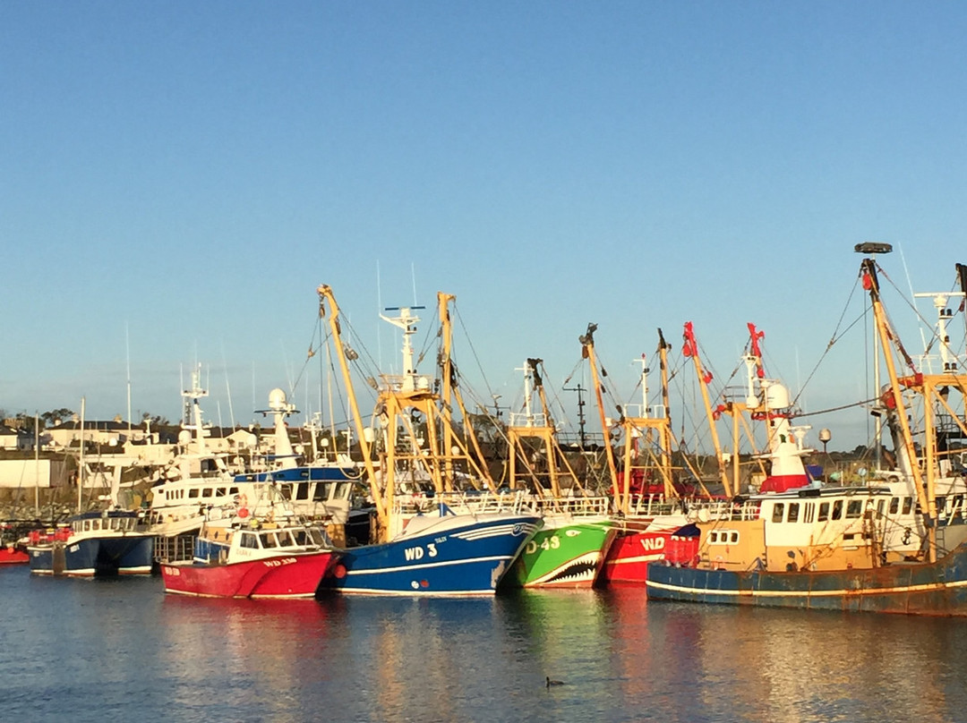 Coast Kilmore Quay主图
