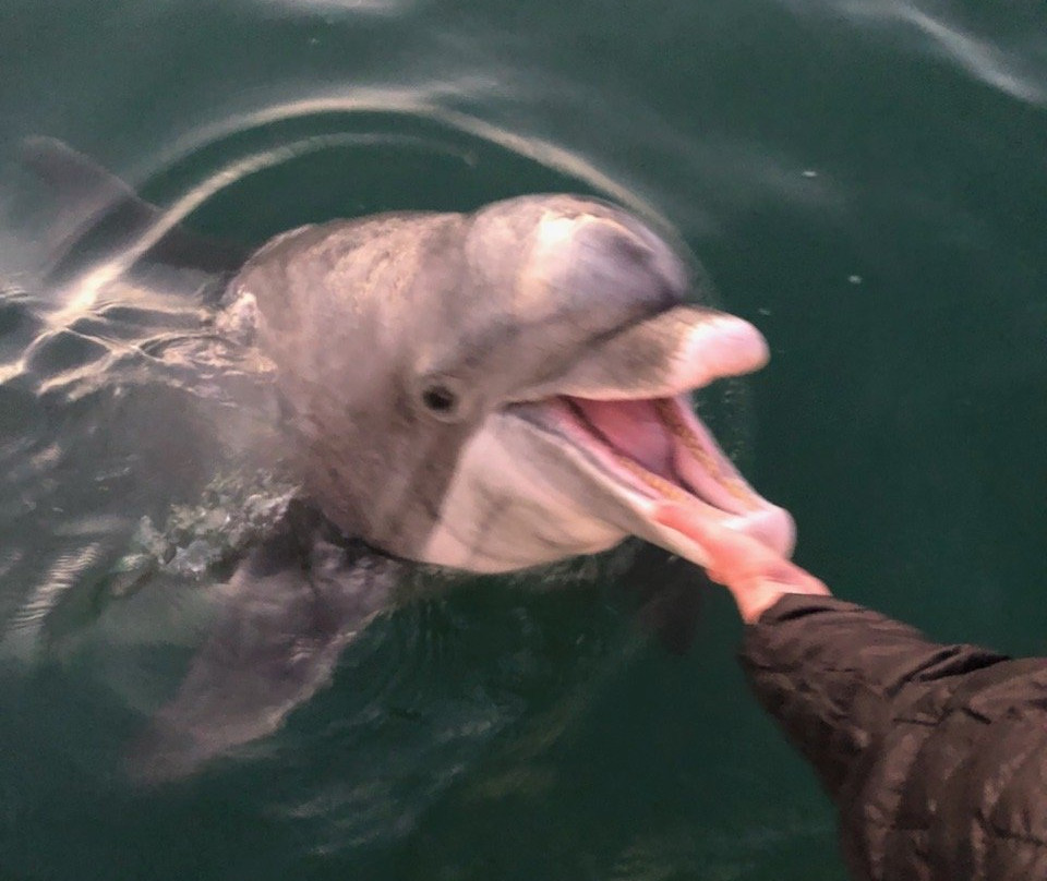 Port Boca Grande Lighthouse Museum-Boca Grande必去景点