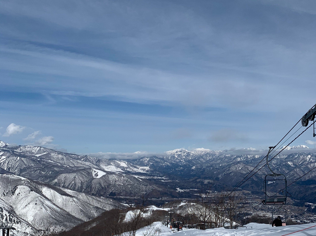 白马五龙滑雪场 / 高山植物园景点图片