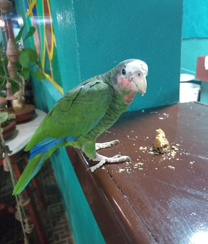 La Casa de Los Amigos主图