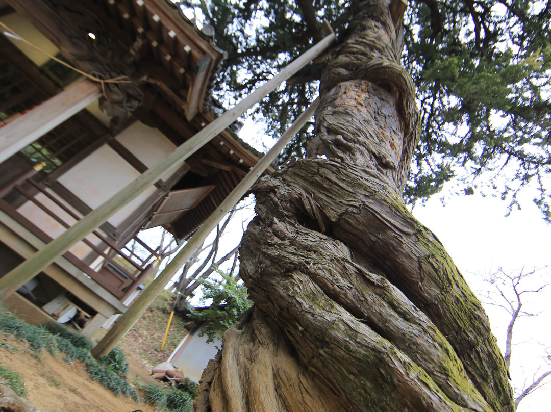 Ishigami Shrine景点图片