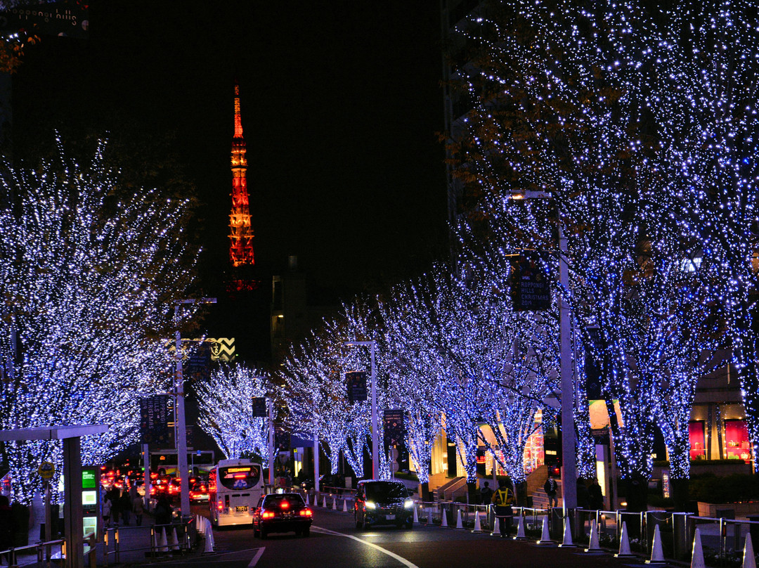 Roppongi Keyakizaka Dori-Roppongi必去景点