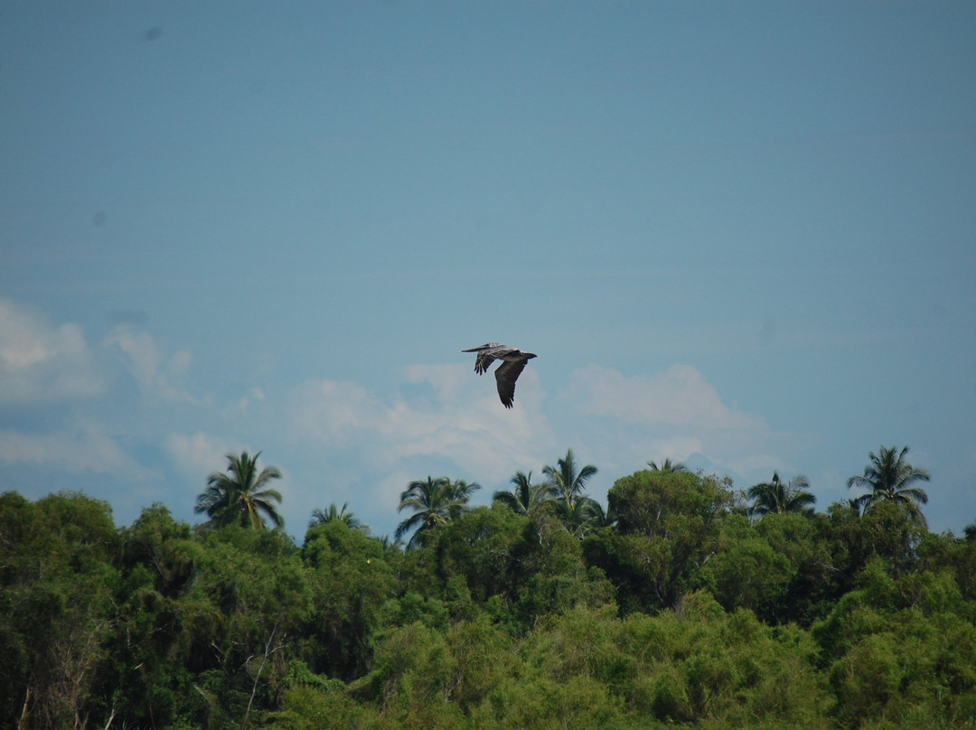 Tecoman旅游攻略图片
