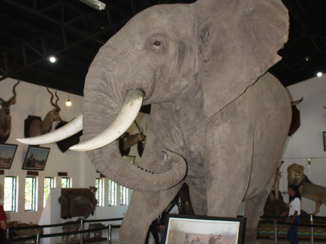 Baluarte Zoo-维甘必去景点