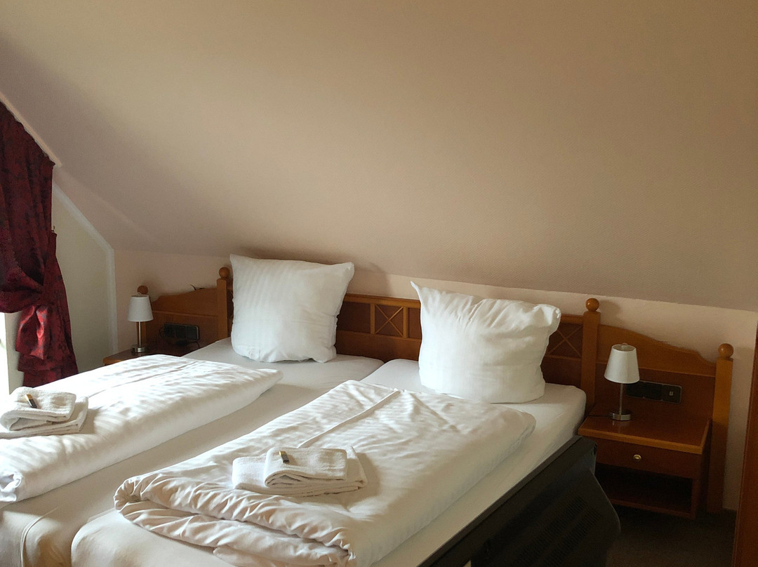 Schlosshotel Sophia主图
