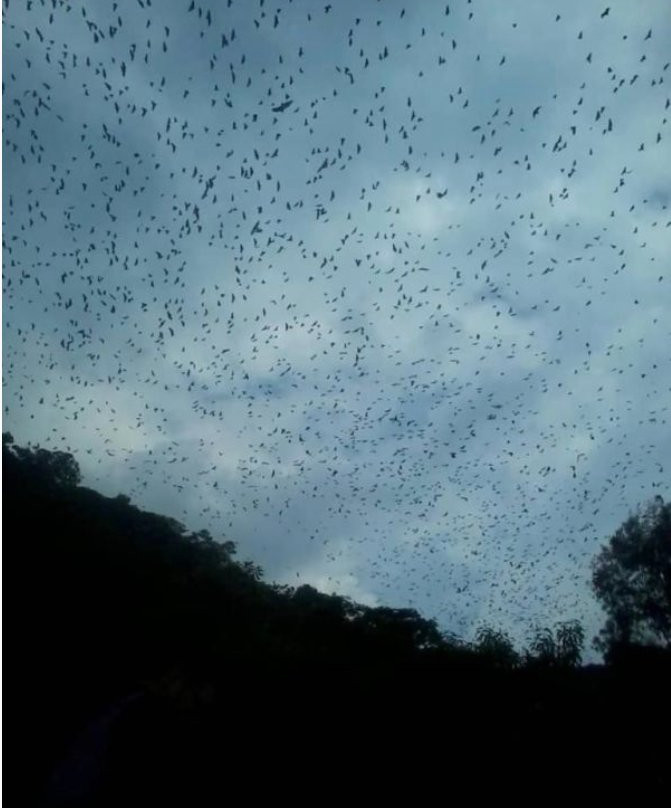 Rwiza Village Guest House主图