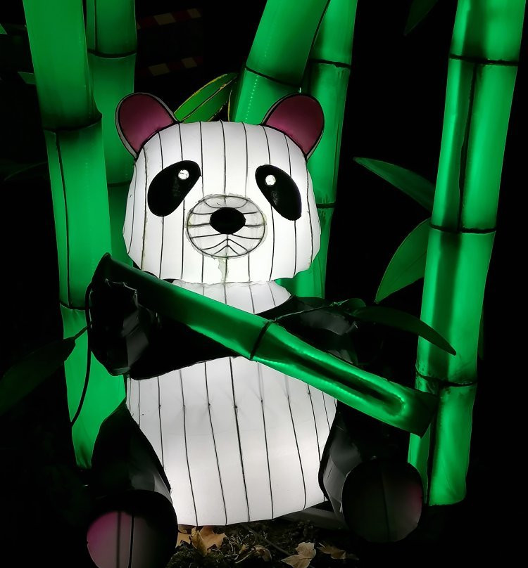 Festival Des Lumieres Celestes景点图片