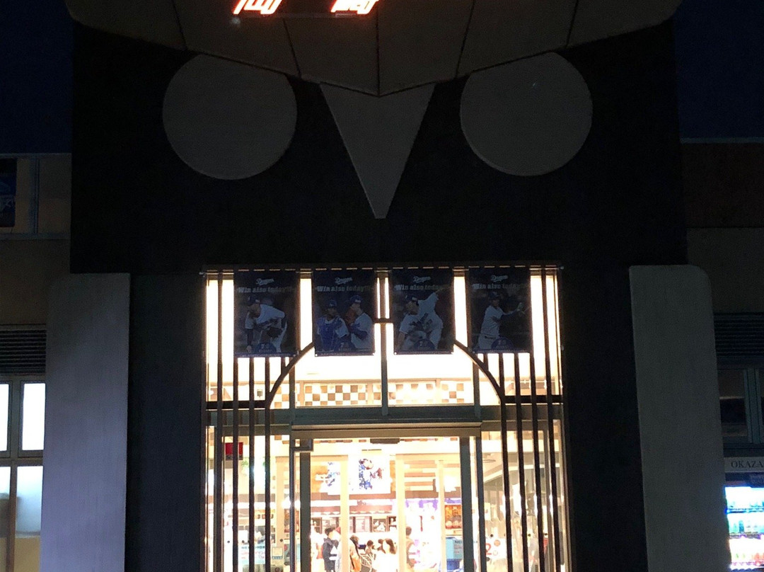 Okazaki Service Area-冈崎市必去景点