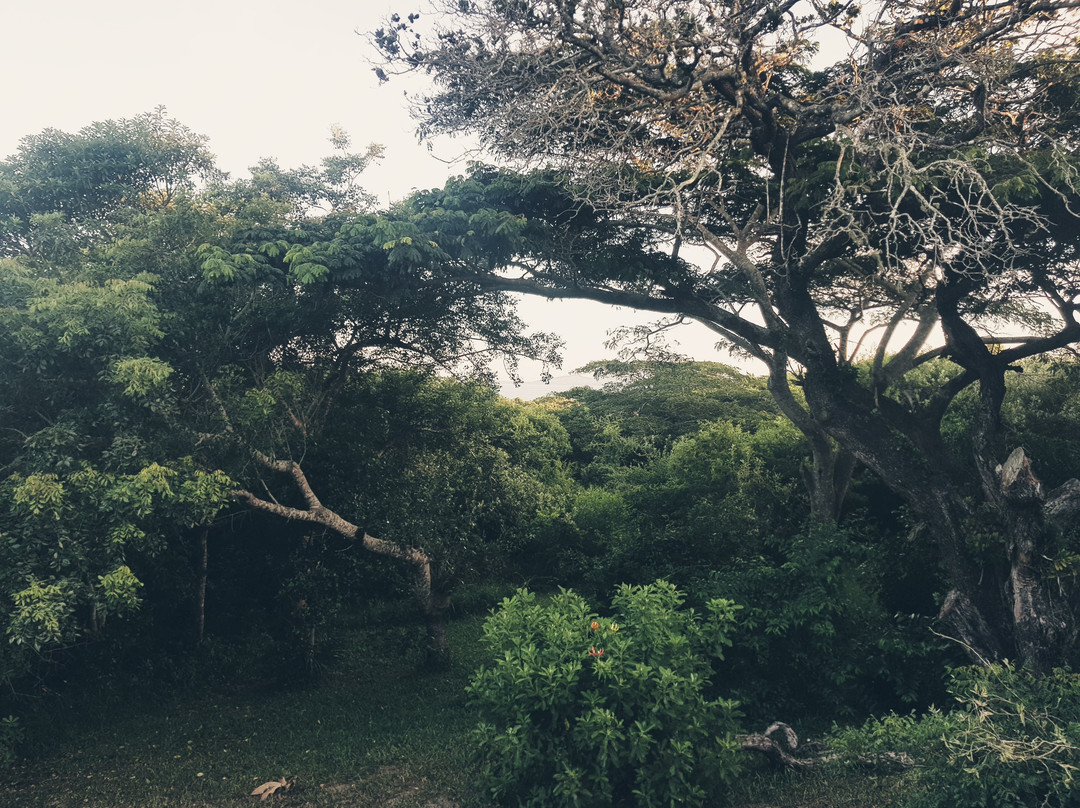 Kosi Moon Bed & Breakfast主图